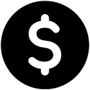 Dollar Coin Icon